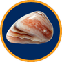 Agate de feu