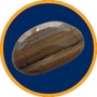 Bois fossilisé